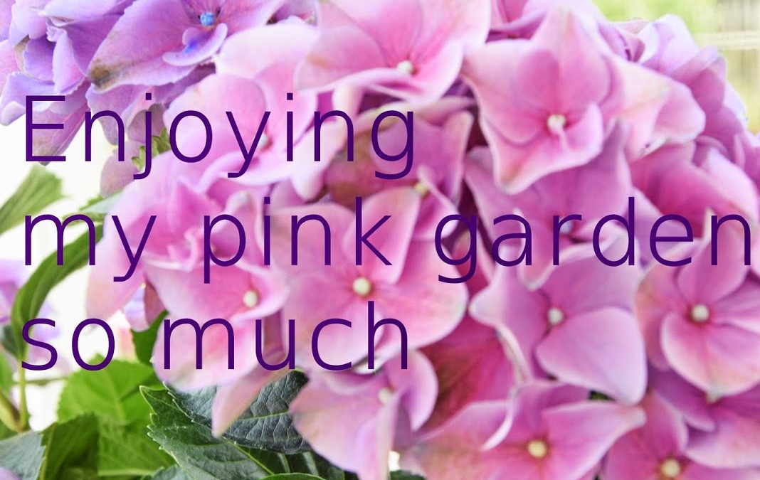 Garden Love – Pink und Violett