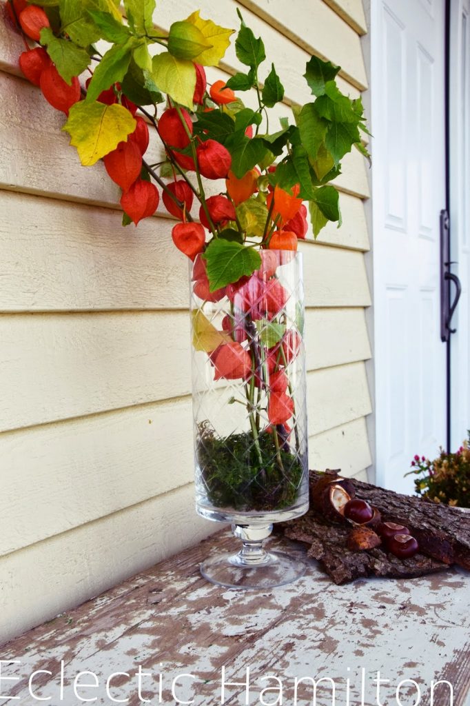 Deko für den Herbst mit Lampionblume und Kastanien sowie Moos. DIY Herbstdeko mit Naturmaterialien
