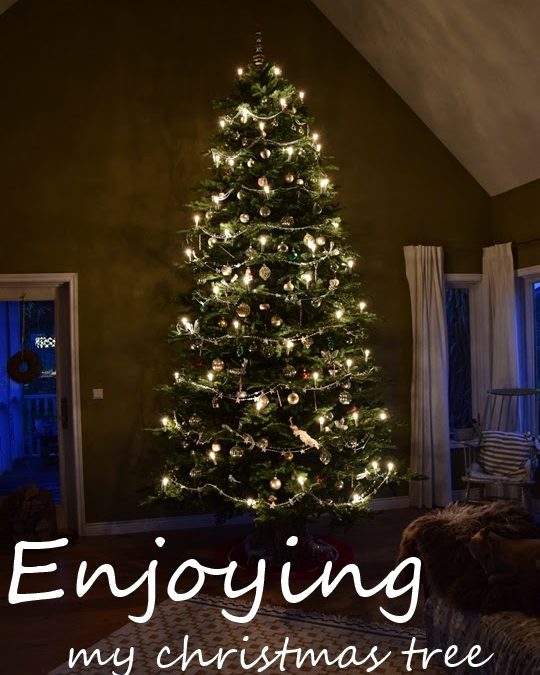 4 Meter Licht und Glanz – mein Weihnachtsbaum!