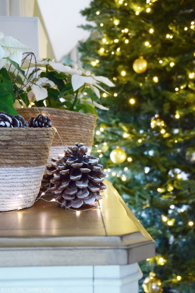 Weihnachtsdeko mit Weihnachtsstern, Pinienzapfen, Lichterkette auf Sideboard, Fernsterbank, Konsole oder Tisch. Deko Dekoration Dekoidee 
