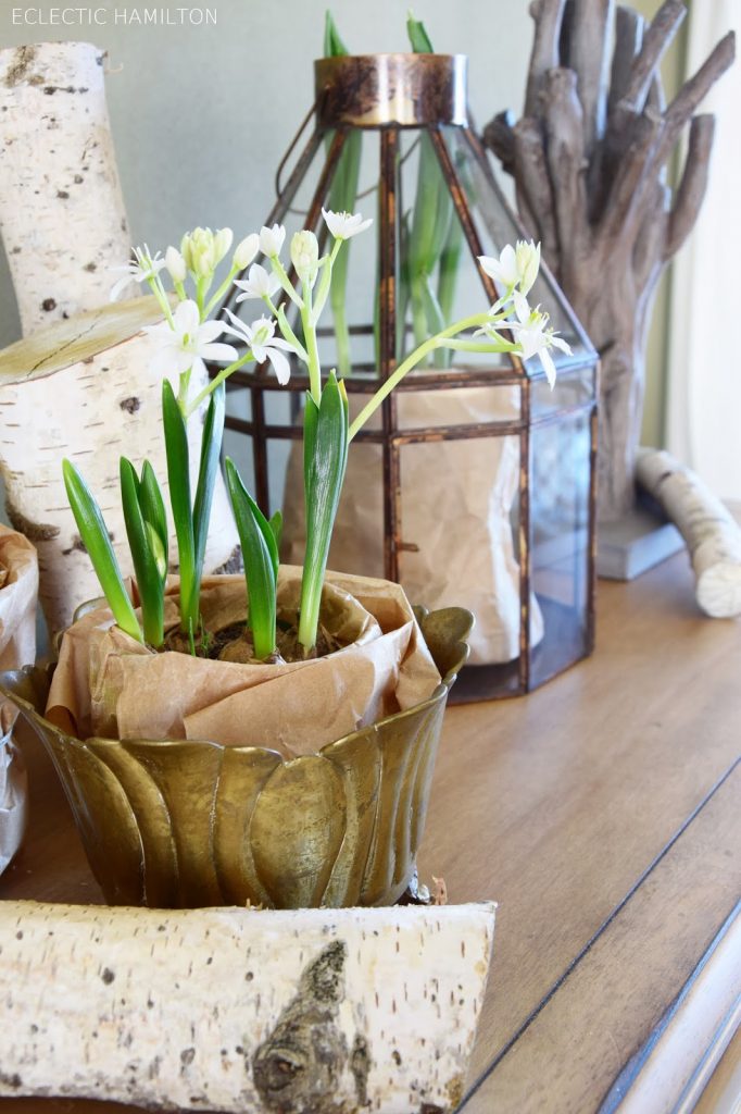 Frühlingsdeko fürs Zuhause, Dekoidee Frühling: Blüten aus Metall für die Wand und frische Frühjahrbsblüher für das Sideboar. Deko Dekoration dekorieren frühligshaft mit Birke