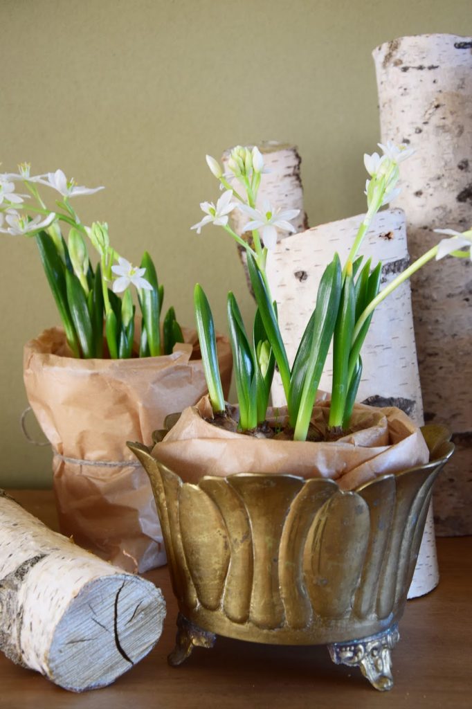 DIY Verschönerung Übertopf Übertöpfe Vasen für den Frühling. Dekoidee Deko Dekoration mit Frühjahrsblühern