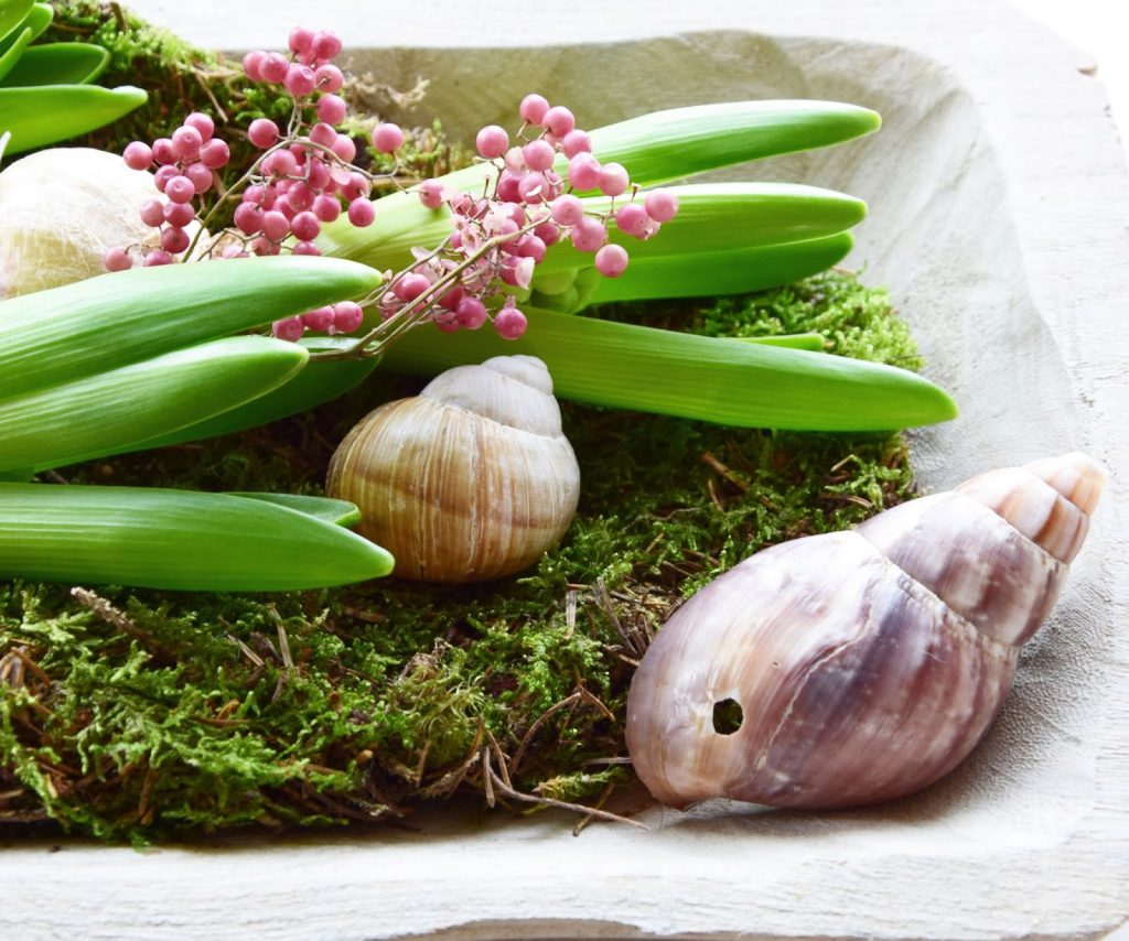 DIY Deko Frühling Frühjahr mit Hyazinthe Pfefferbeeren Moos: natürlich dekorieren für Tisch und Sideboard. Tischdeko Natur selbermachen