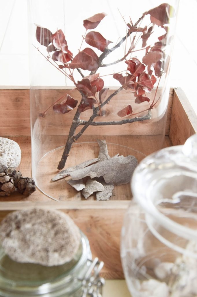 Dekoidee mit Fundstücken aus dem Urlaub: Muscheln, Steine, Sand, Äste und mehr. Deko, Dekoration, Urlaubserinnerungen