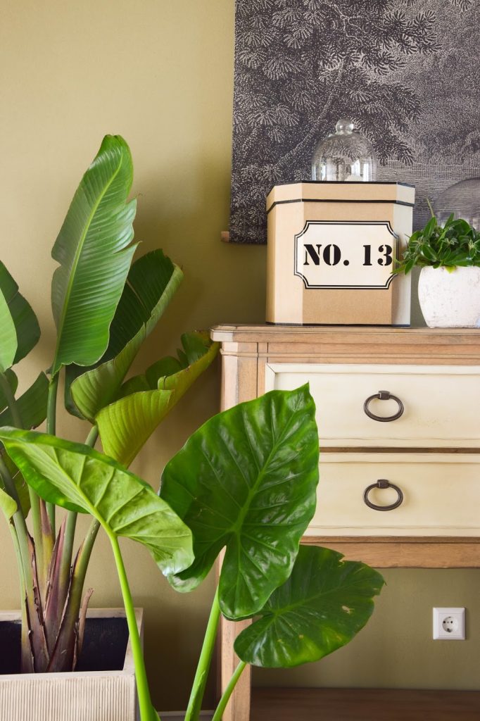 Botanical Style und neue Deko fürs Wohnzimmer mit Übertöpfen von VIVANNO. Dekoideen, Deko, Dekoration, Interior, Blumenkübel, Blumentopf