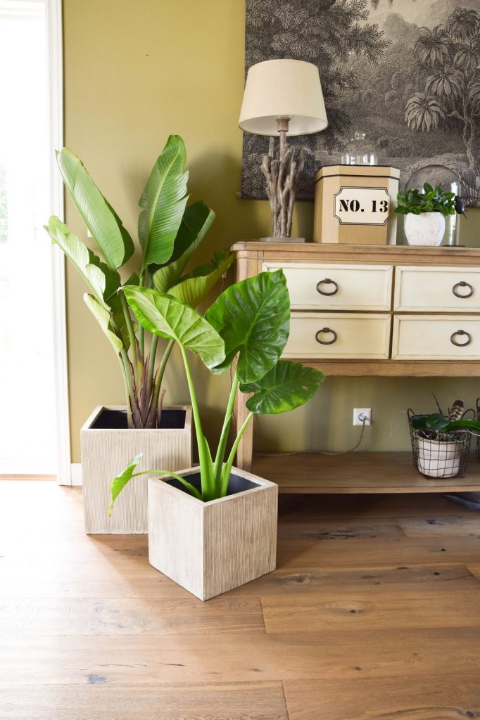 Botanical Style und neue Deko fürs Wohnzimmer mit Übertöpfen von VIVANNO. Dekoideen, Deko, Dekoration, Interior, Blumenkübel, Blumentopf