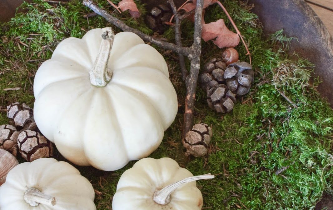 Wie ihr eine Schale kreativ mit Naturmaterialien dekoriert – passend für Herbst und Winter