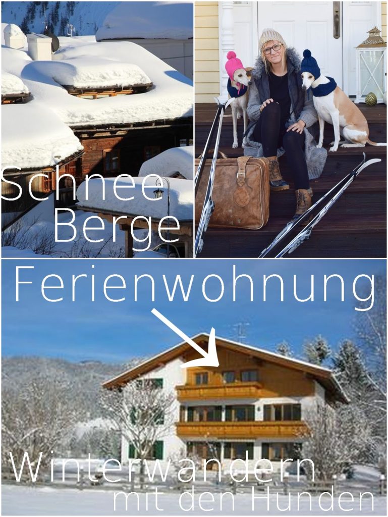 Winterurlaub: Ferienwohnung buchen mit Hund. In die Berge mit BestFewo und den Schnee genießen / Anzeige