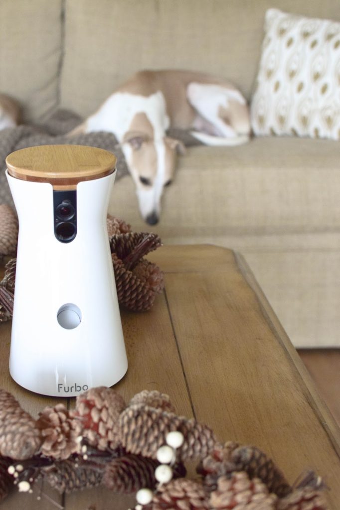 Mein Testbericht zur Furbo Hundekamera: test bericht hund erfahrungsbericht kamera haustiere beobachten