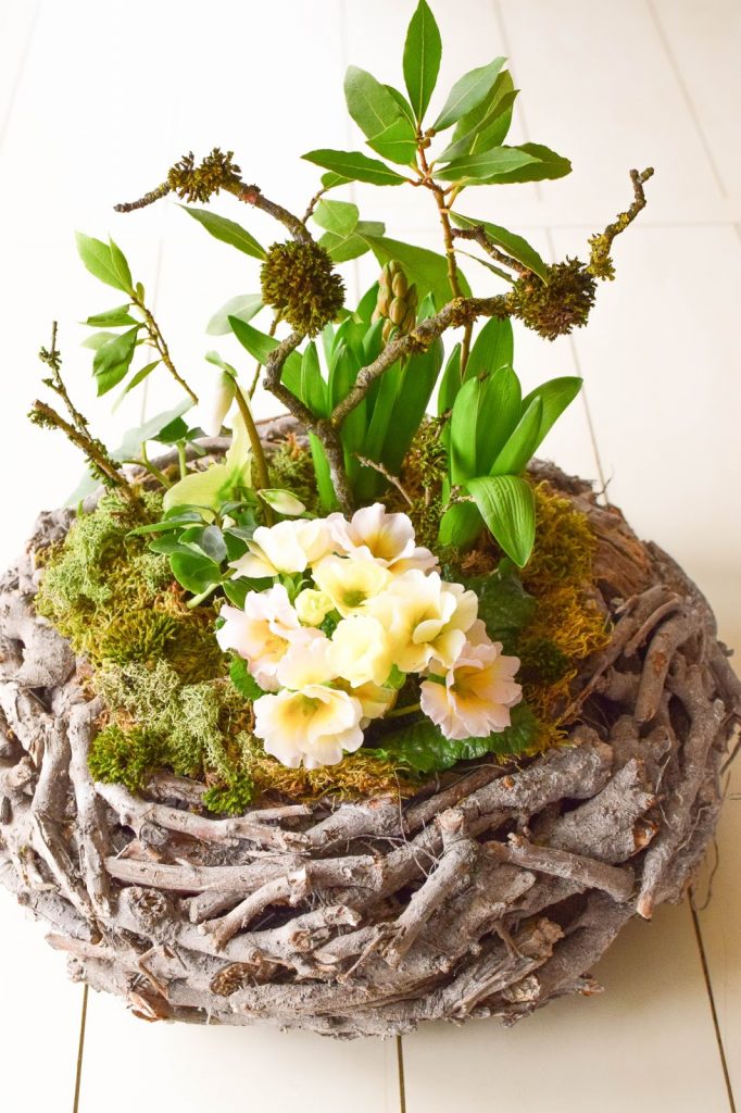 DIY Frühlingsdeko selber machen Frühjahrsdeko für Tisch. Dekoidee mit Korb Christrosen Hyazinthen Primeln Moos und natürlicher Deko