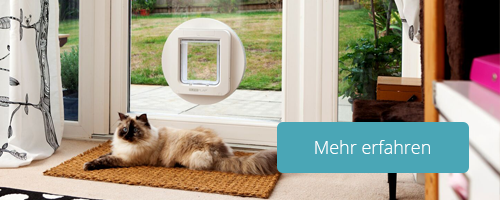 So kommt eure Katze sicher und alleine ins Haus … vollautomatisch und von eurem Smartphone überwacht