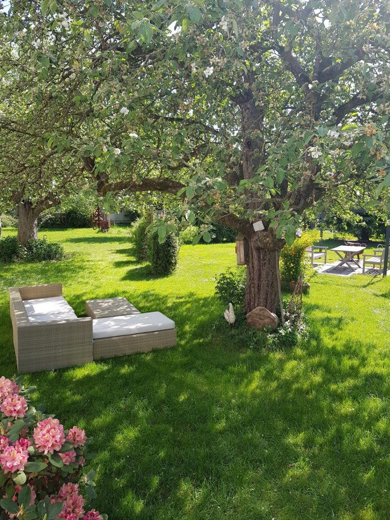 Alte Apfelbäume Obstbäume im Garten. Dekoidee Loungesofa