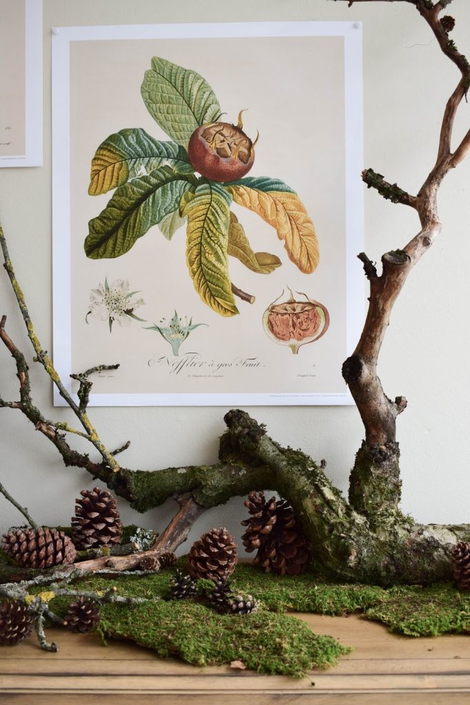  Naturdeko mit Moos Ästen Kranz Zapfen Kalender 2019 mit botanischen Zeichnungen Drucke Poster Deko Dekoidee Wanddeko von DUMONT teNeues