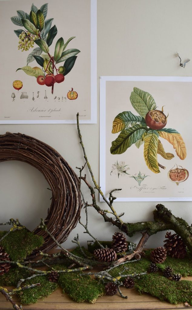 Kalender 2019 mit botanischen Zeichnungen Drucke Poster Deko Dekoidee Wanddeko von DUMONT teNeues Naturdeko mit Moos Ästen Kranz Zapfen