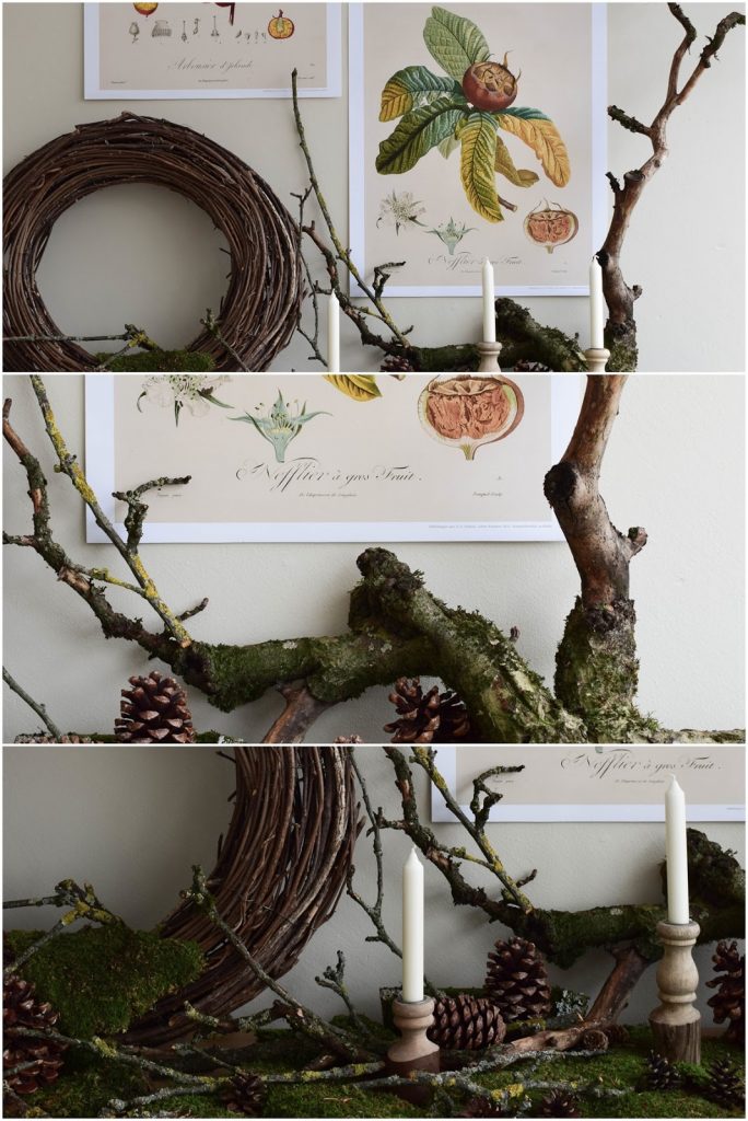  Naturdeko mit Moos Ästen Kranz Zapfen Kalender 2019 mit botanischen Zeichnungen Drucke Poster Deko Dekoidee Wanddeko von DUMONT teNeues