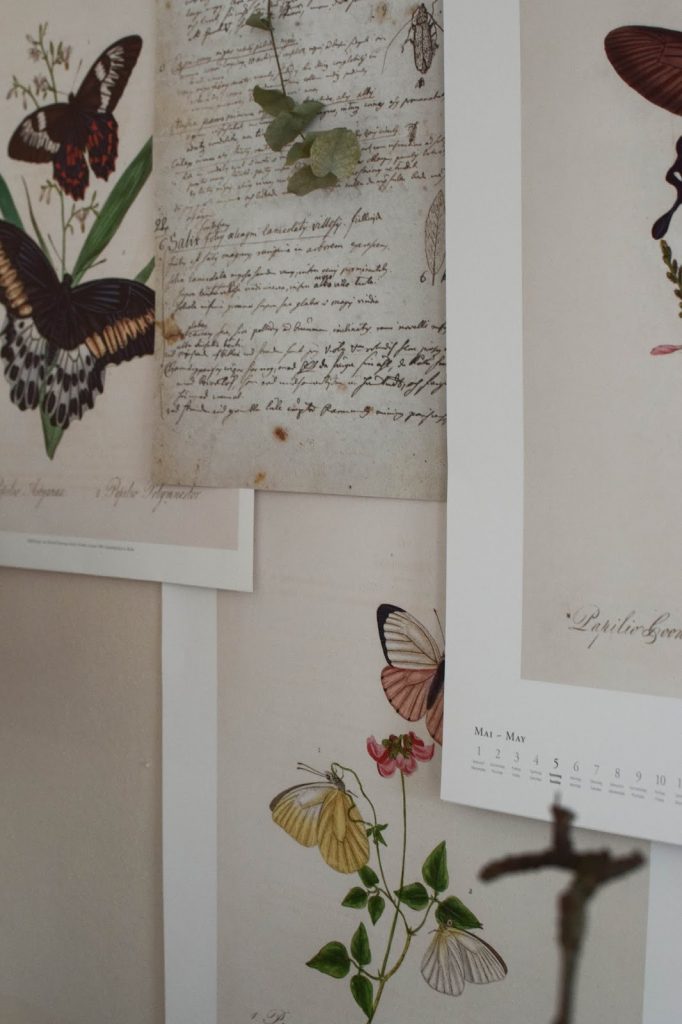 Kalender 2019 mit botanischen Zeichnungen Drucke Poster Deko Dekoidee Wanddeko von DUMONTs Zoologisches Kabinett