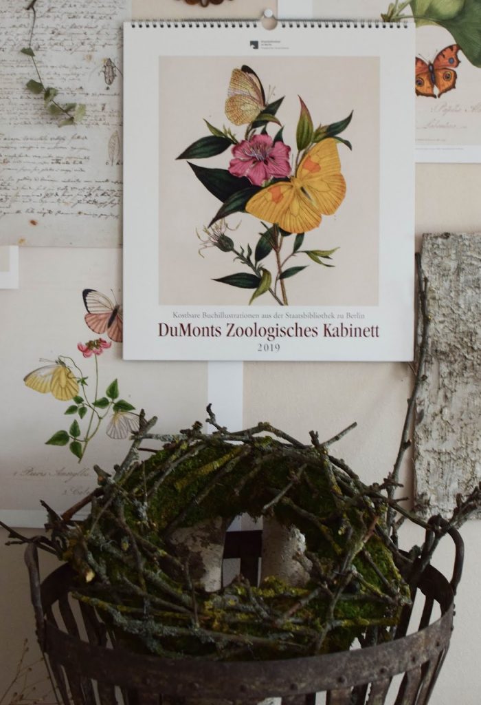 DIY Mooskranz mit Ästen selbermachen Kalender 2019 mit botanischen Zeichnungen Drucke Poster Deko Dekoidee Wanddeko von DUMONTs Zoologisches Kabinett