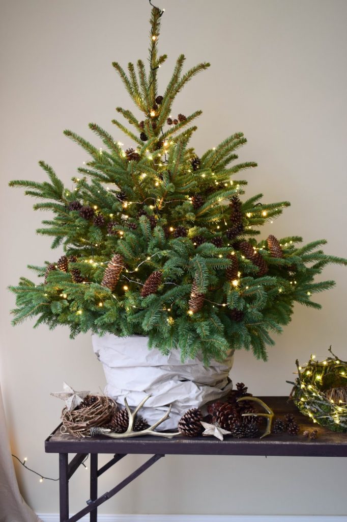 Weihnachtsbaum dekorieren Weihnachtsbaumschmuck basteln ganz natürlich aus Zapfen