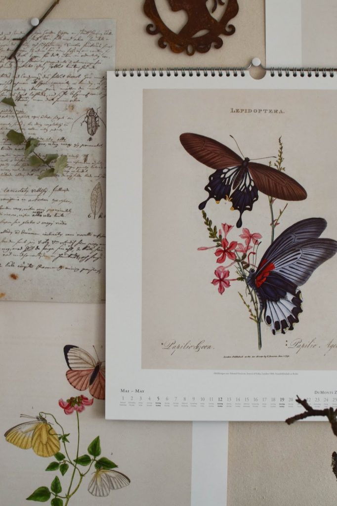 Botanische Kalender 2019 die ideale Wanddeko für ein schönes Zuhause. Dekotipp Dekoideen
