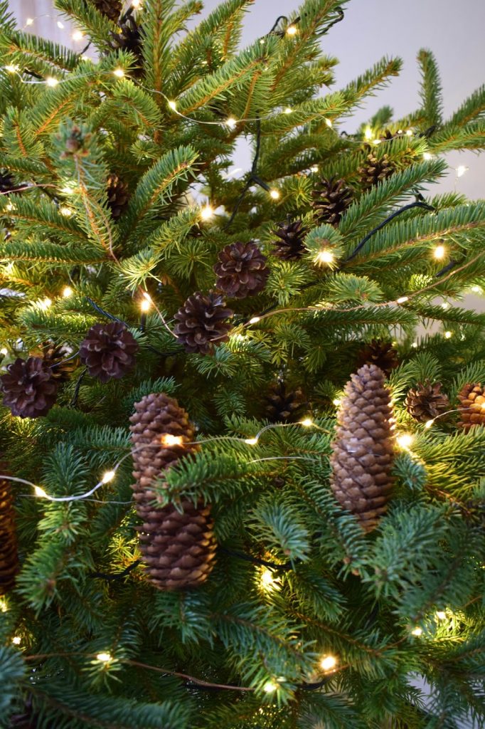 Weihnachtsbaum dekorieren Weihnachtsbaumschmuck basteln ganz natürlich aus Zapfen