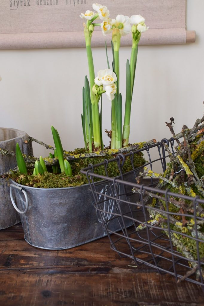 Frühlingsdeko selbermachen basteln mit Narzissen Krokusse Bridal Crown Deko für den Frühling natürlich Frühlingsblüher Moos Zweige