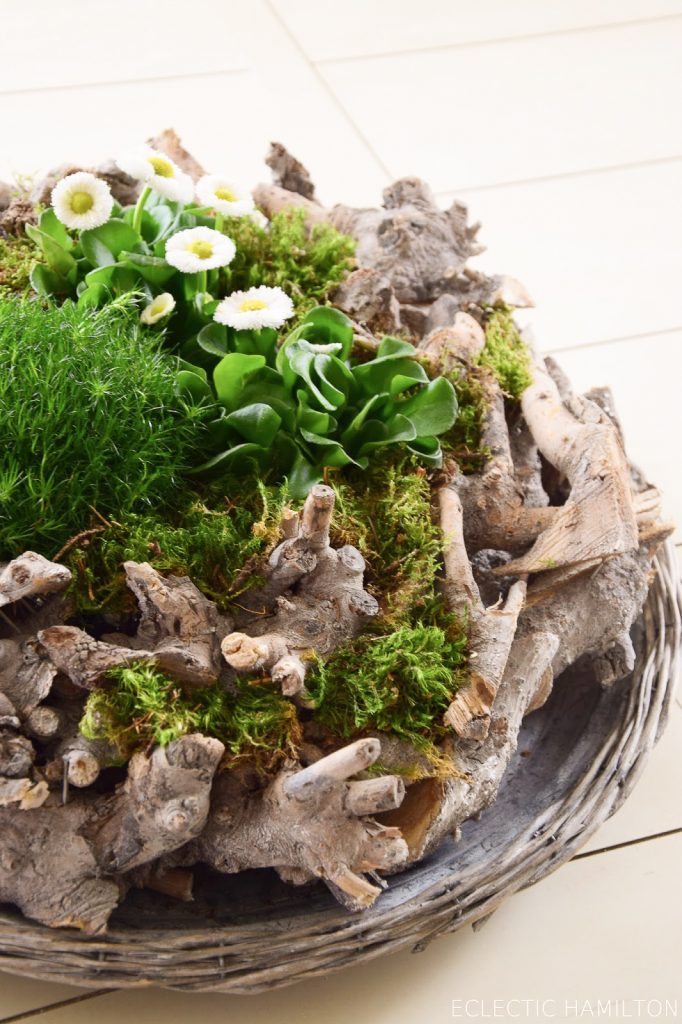 Frühlingsdeko basteln mit Naturmaterialien selber machen mit Moos, Holzkranz Bellis, Natur, Deko für den Frühling