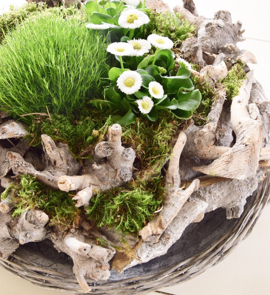 Frühlingsdeko basteln mit Naturmaterialien selber machen mit Moos, Holzkranz Bellis, Natur, Deko für den Frühling