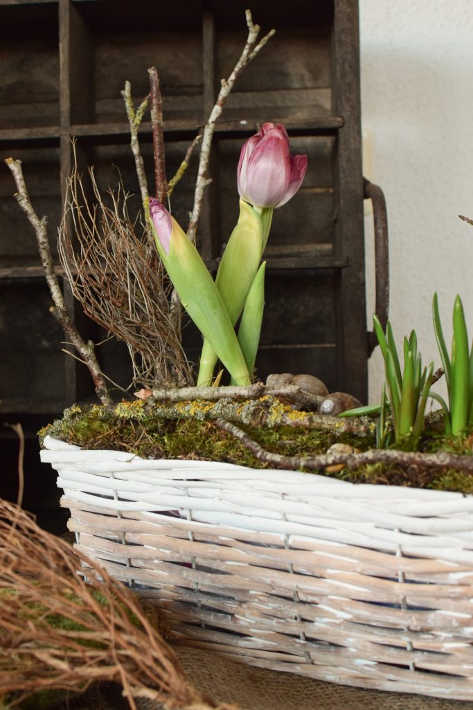 Deko für den Frühling Frühhlingskiste Deko Dekoidee Naturdeko Moos Tulpen Muscari Natürlich dekorieren