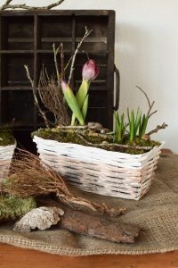 Kreativ-Set Frühlingsdeko mit Kiste und Moos zum selber machen DIY