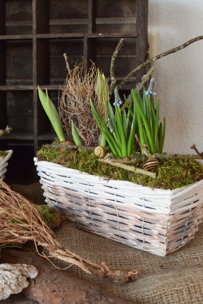 Kreativ-Set Frühlingsdeko mit Kiste und Moos zum selber machen DIY