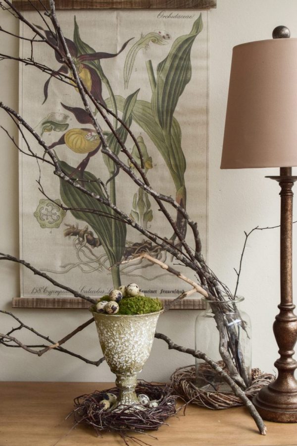 Die Mrs Greenery Amphore im Antik-Look lässt sich zu jeder Jahreszeit toll dekorieren. Lass deiner Kreativität freien Lauf und hol dir mit dieser besonderen Amphore Individualität in dein Zuhause.
