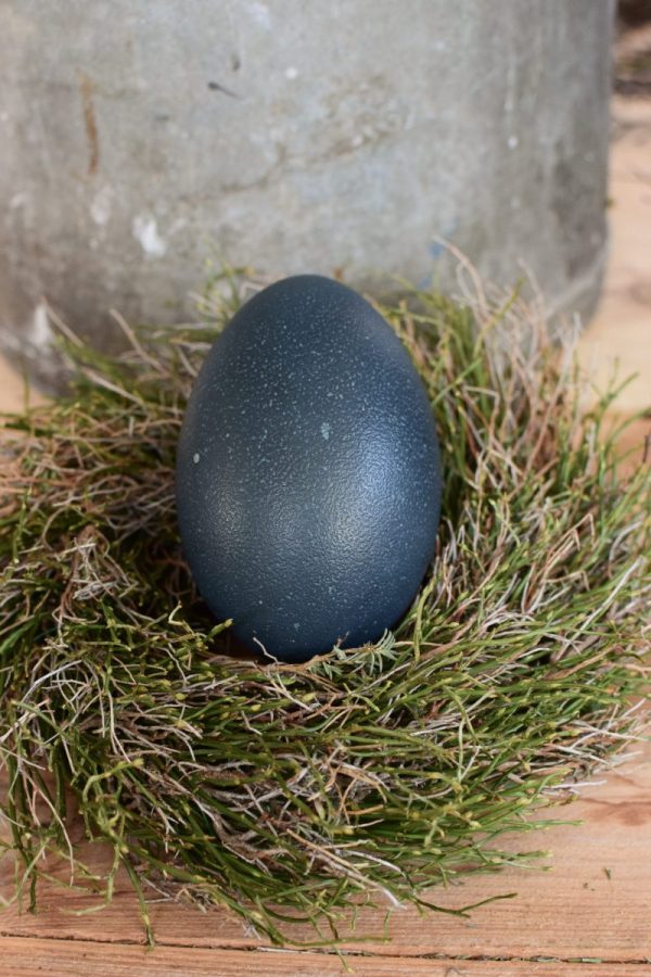 Osterdeko mit Emu Ei. Dekoidee Ostern Ei Eier. Dekorieren mit Naturmaterialien Kranz Moos