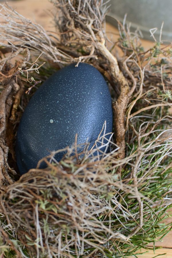 Osterdeko mit Emu Ei. Dekoidee Ostern Ei Eier. Dekorieren mit Naturmaterialien Kranz Moos