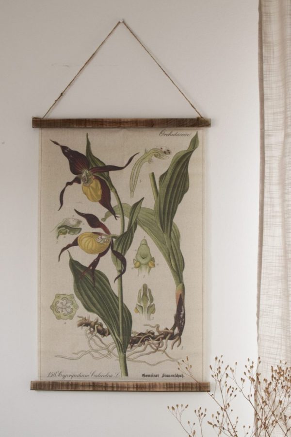 Wandbild Orchidee Wanddeko botanischer Druck Bild Leinwand Dekoidee Wände Mrs Greenery