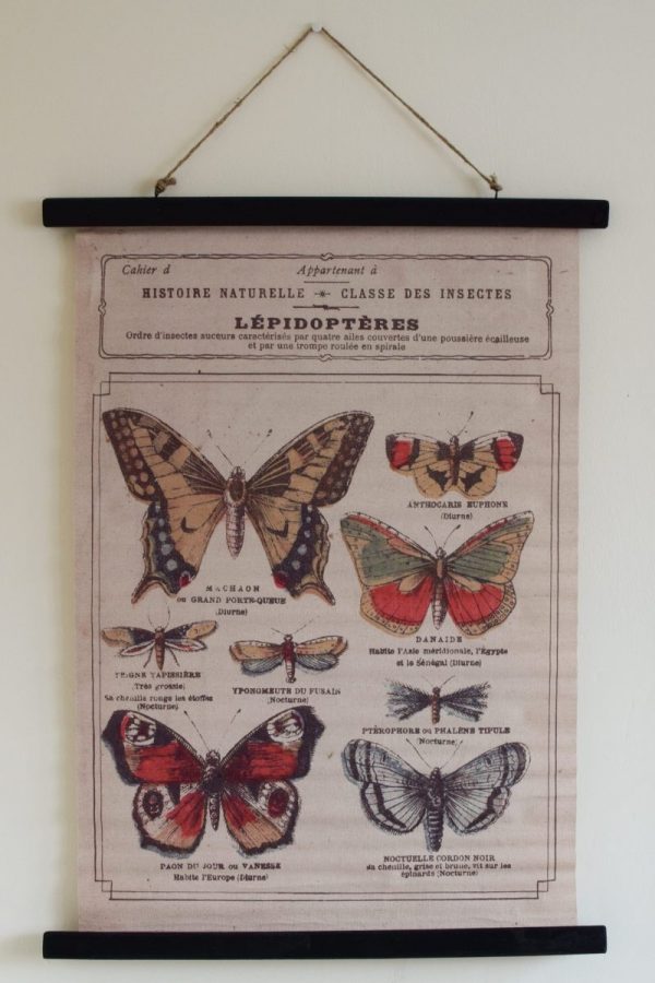 Wandbild Schmetterling Wanddeko botanischer Druck Bild Leinwand Dekoidee Wände Mrs Greenery