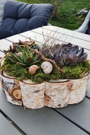Kreativ-Set Birke mit Sukkulenten und Moos DIY zum Basteln und Kreativsein vom Mrs Greenery Shop. Die natürliche Dekoidee