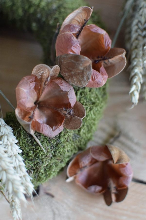 Getrocknete Blüte für deine kreativen Dekoideen. Perfekt für Kränze! Die Blüten sind dauerhaft haltbar