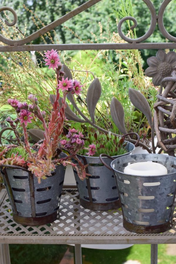 Dein perfekter Begleiter für alle Pflanzen: der Metall-Übertopf eignet sich perfekt für den Garten, Terrasse, Balkon, aber auch für Zuhause. Dekoidee Blumendeko Topf Übertopf aus Metall Vintage
