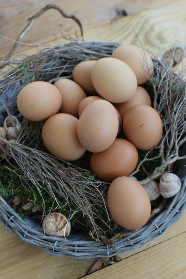 Hühnerei Osterei Ei Eier braun ausgeblasen Osterdeko Ostern naürlich dekorieren