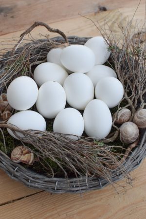 Hühnerei Osterei Ei Eier weiß ausgeblasen Osterdeko Ostern naürlich dekorieren