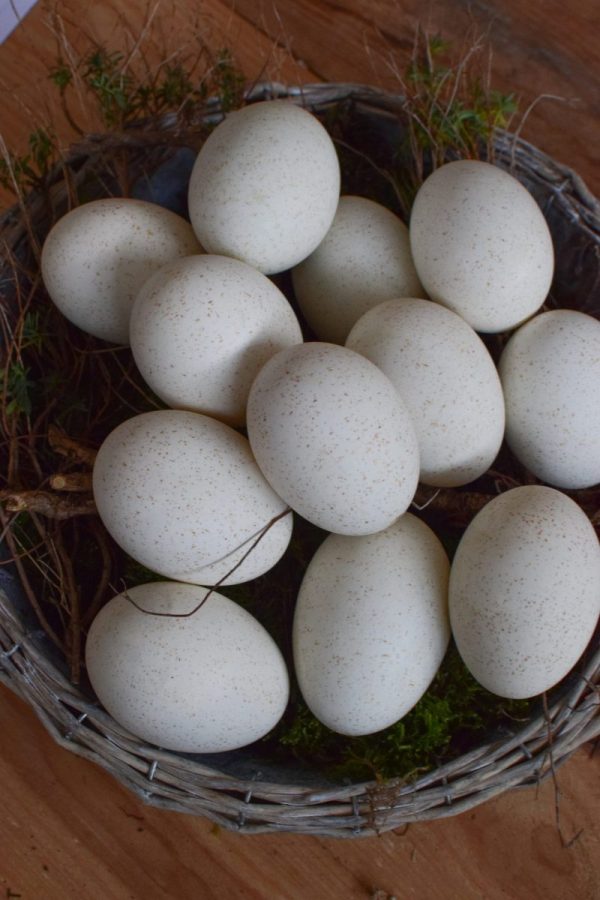 Truthahnei Osterei Ei Eier weiß ausgeblasen Osterdeko Ostern naürlich dekorieren