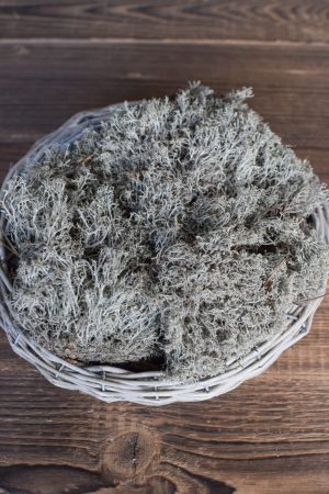 Silbermoos trocken getrocknetes Moos für deine Naturdeko Naturmaterial Moos Trocken Dekoidee DIY