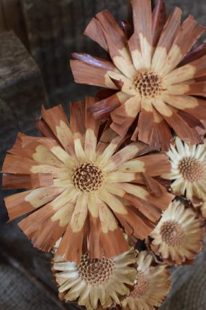 Holzblume natur, Blüte getrocknet. Mit Trockenblumen kreativsein aus dem Mrs Greenery Shop