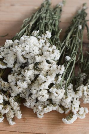 Statice Strandflieder fluffig getrocknet Trockenblumen Kreativsein mit Meerlavendel weiß aus dem Mrs Greenery Shop
