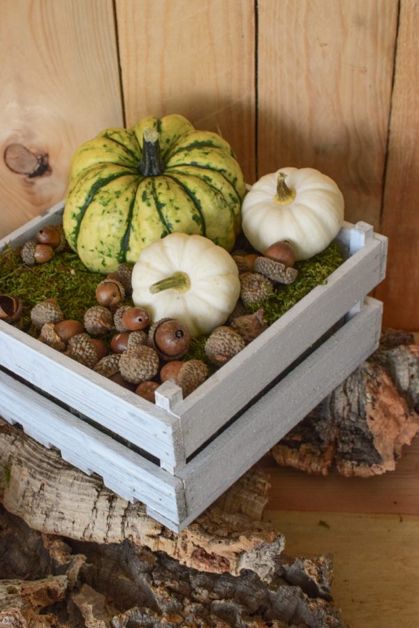 Holzkiste weiß mit Plastikeinsatz für deine Naturdeko-Ideen. Deko Dekoration Kiste im Mrs Greenery Shop bestellen