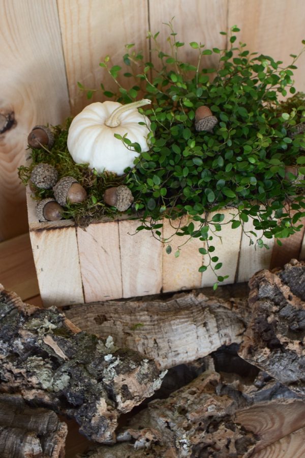 Holzkiste natur mit Plastikeinsatz für deine Naturdeko-Ideen. Deko Dekoration Kiste im Mrs Greenery Shop bestellen