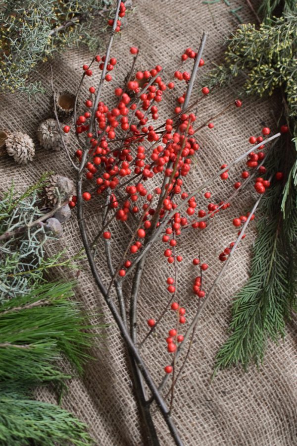 Ilex Beeren rot frisch bestellen Weihnachtsdeko Winterdeko im Mrs Greenery Shop bestellen