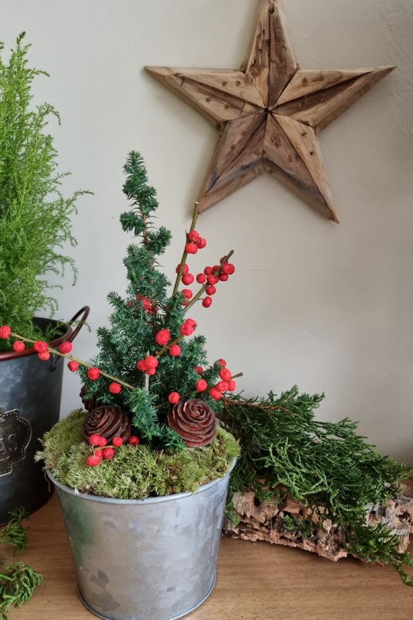 Mini Zypresse Weihnachtsbaum Dekoidee bestellen Weihnachtsdeko Winterdeko im Mrs Greenery Shop bestellen