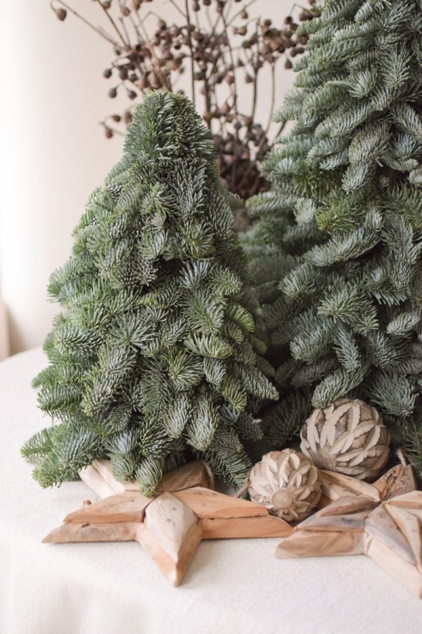 Nobilis Tanne frisch echt 40 cm handarbeit weihnachtsbaum tannenbaum Weihnachstdeko im Mrs Greenery Shop bestellen