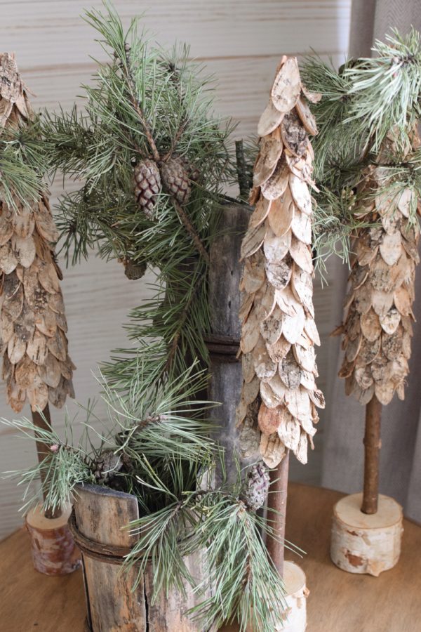 Waldkiefer mit Zapfen Wintergrün Weihnachtsgrün Kreativsein mit Naturmaterialen aus dem Mrs Greenery Shop Kranzbinden Basteln Kreativ